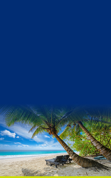 image of a tropical island